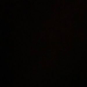 Meet your Posher, Mia